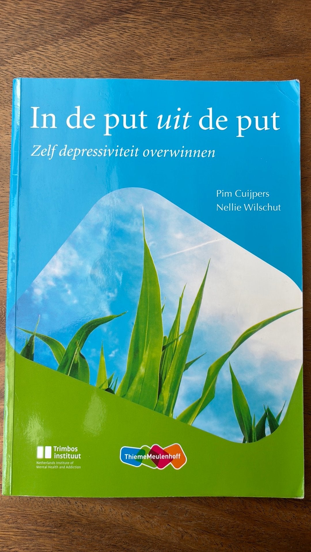 In de put uit de put - Zelf depressiviteit overwinnen, Ophalen of Verzenden, Zo goed als nieuw, Nellie Wilschut, Nederlands