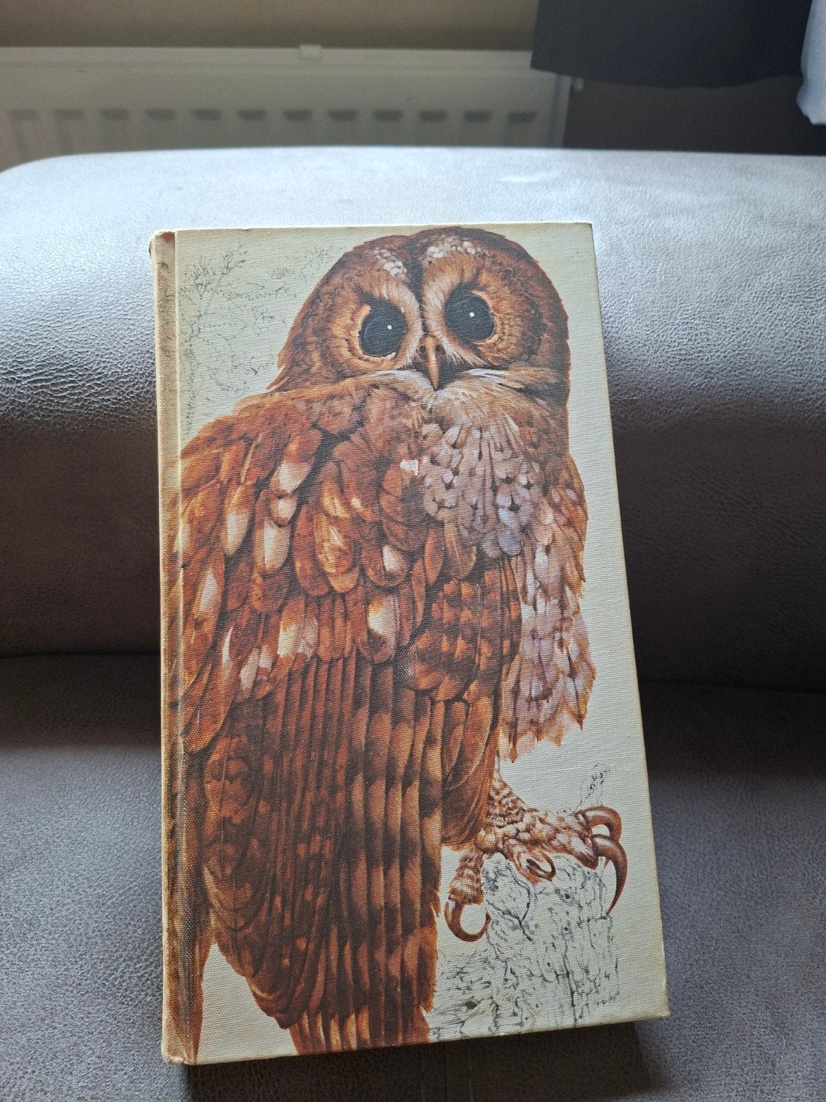 het beste vogelboek, Ophalen of Verzenden