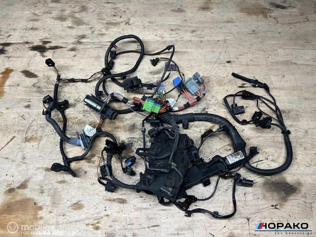 Kabelboom motor BMW E9x N47D20C, Gebruikt, Einsteinlaan 5 rijswijk, Bmw, Ophalen of Verzenden