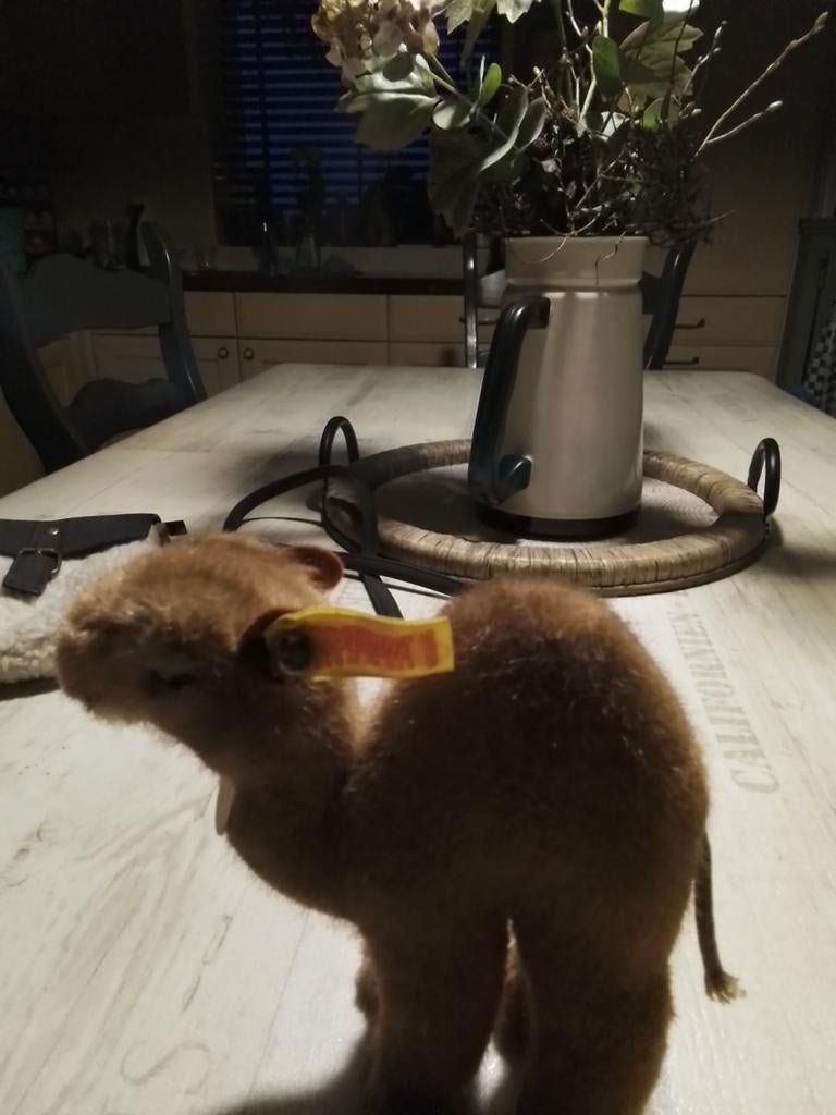 Mooi klein kameeltje van steff., Ophalen of Verzenden, Zo goed als nieuw