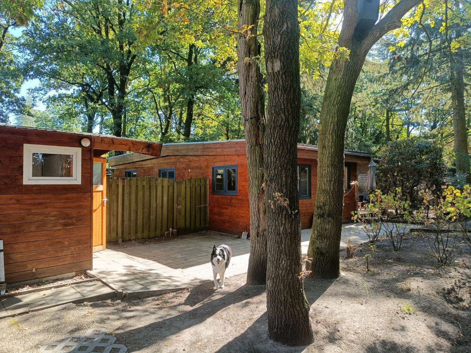 vakantiewoning vakantiehuis chalet, In bos, Limburg, Afwasmachine, Recreatiepark