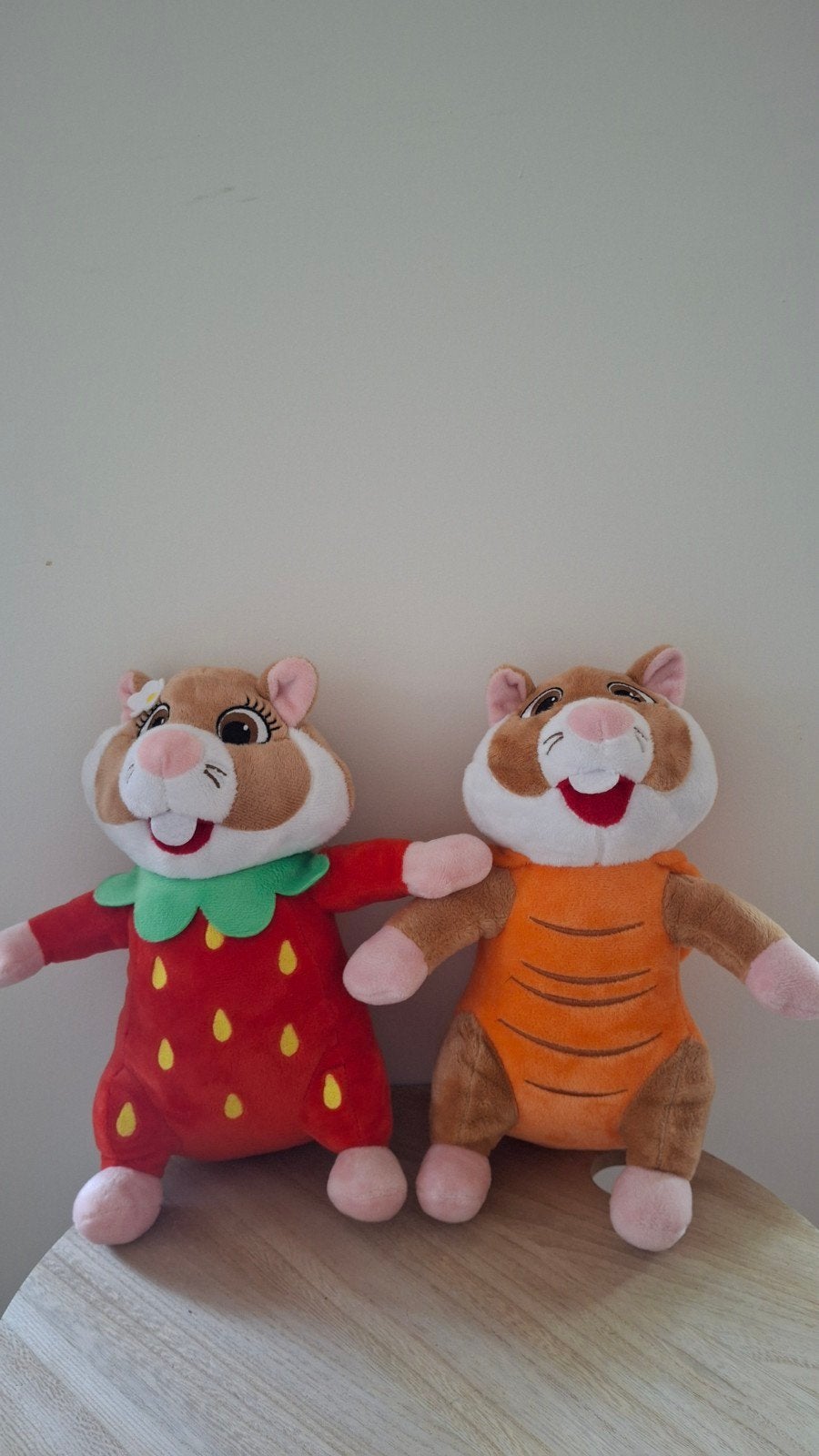 Ah hamsters groente en fruit, Ophalen of Verzenden, Zo goed als nieuw, Overige typen