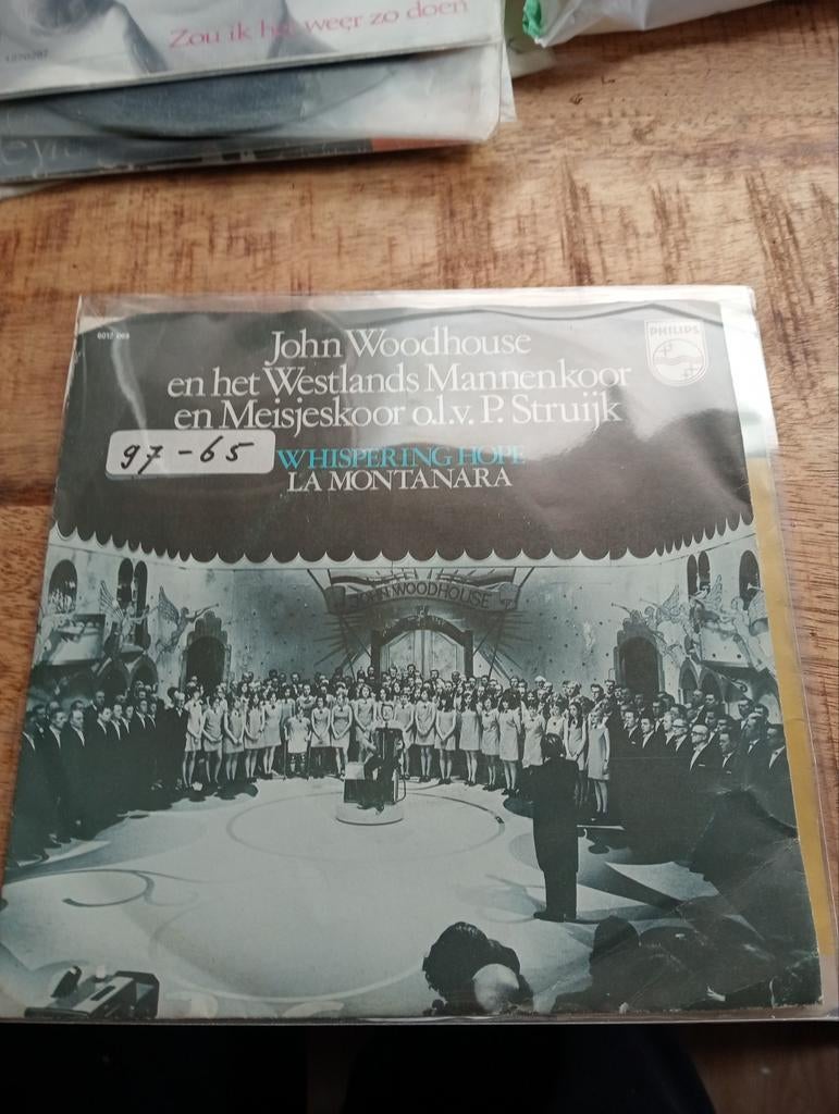 John woodhouse - whispering hope, Cd's en Dvd's, Vinyl Singles, Ophalen of Verzenden, Zo goed als nieuw, Pop