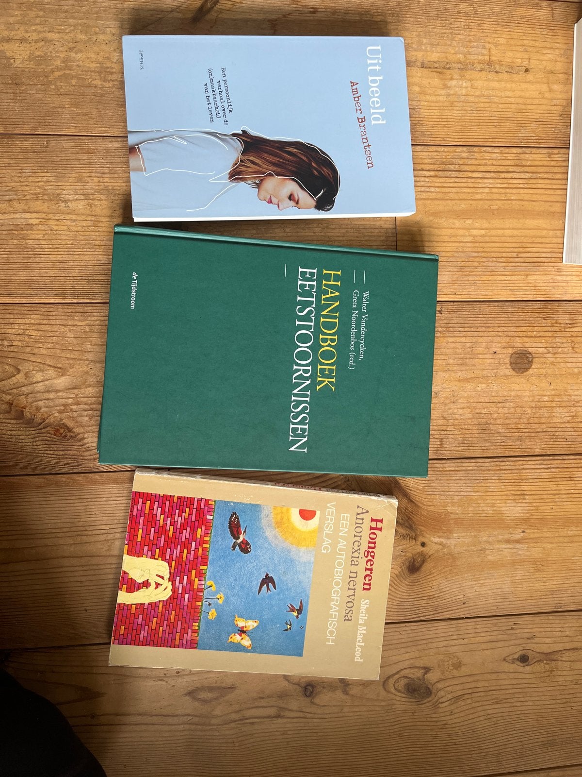 Boeken over eetstoornissen en persoonlijke verhalen, Boeken, Ophalen of Verzenden, Gelezen, Klinische psychologie