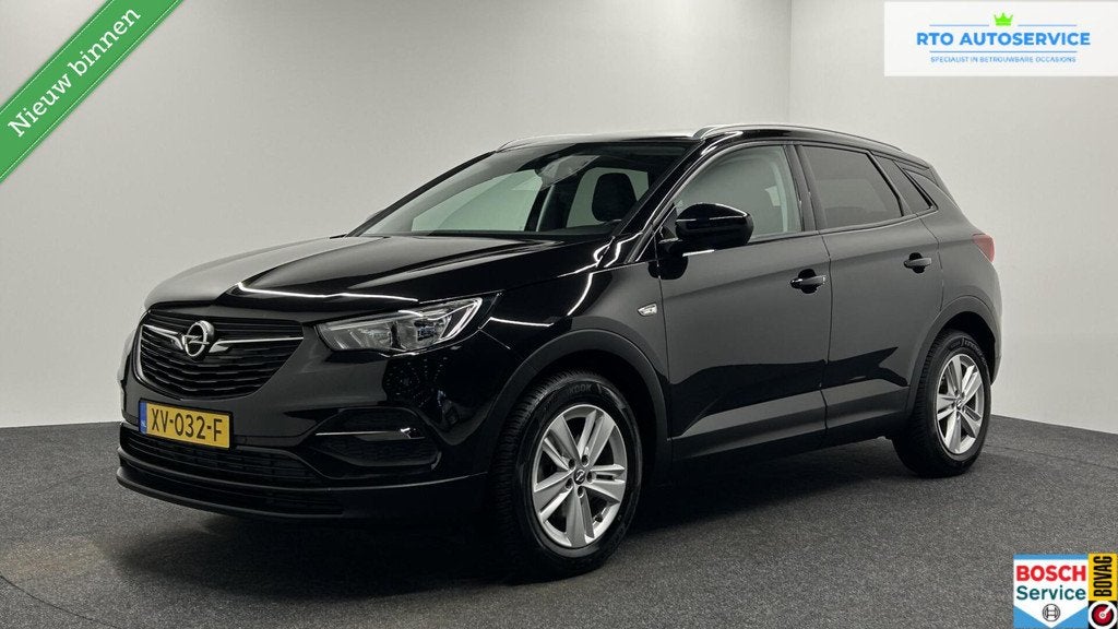 Opel Grandland X 1.2 Turbo 120 Jaar Edition NAVI CRUISE CAME