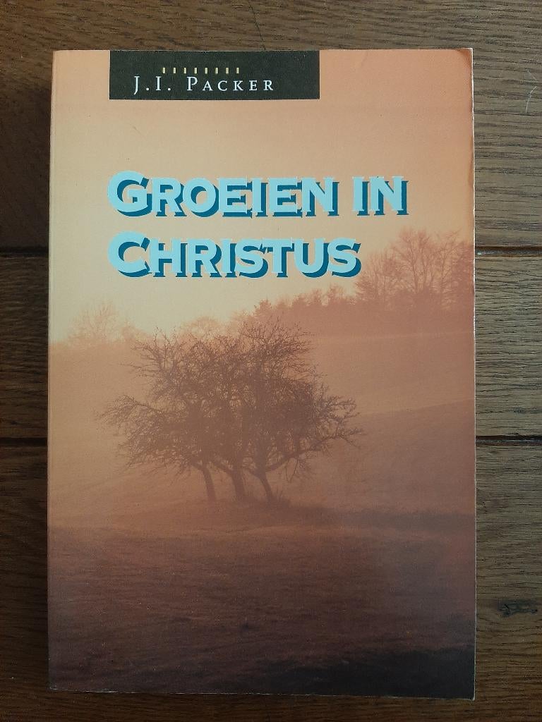J.I. Packer, Groeien in Christus., Ophalen of Verzenden, Zo goed als nieuw