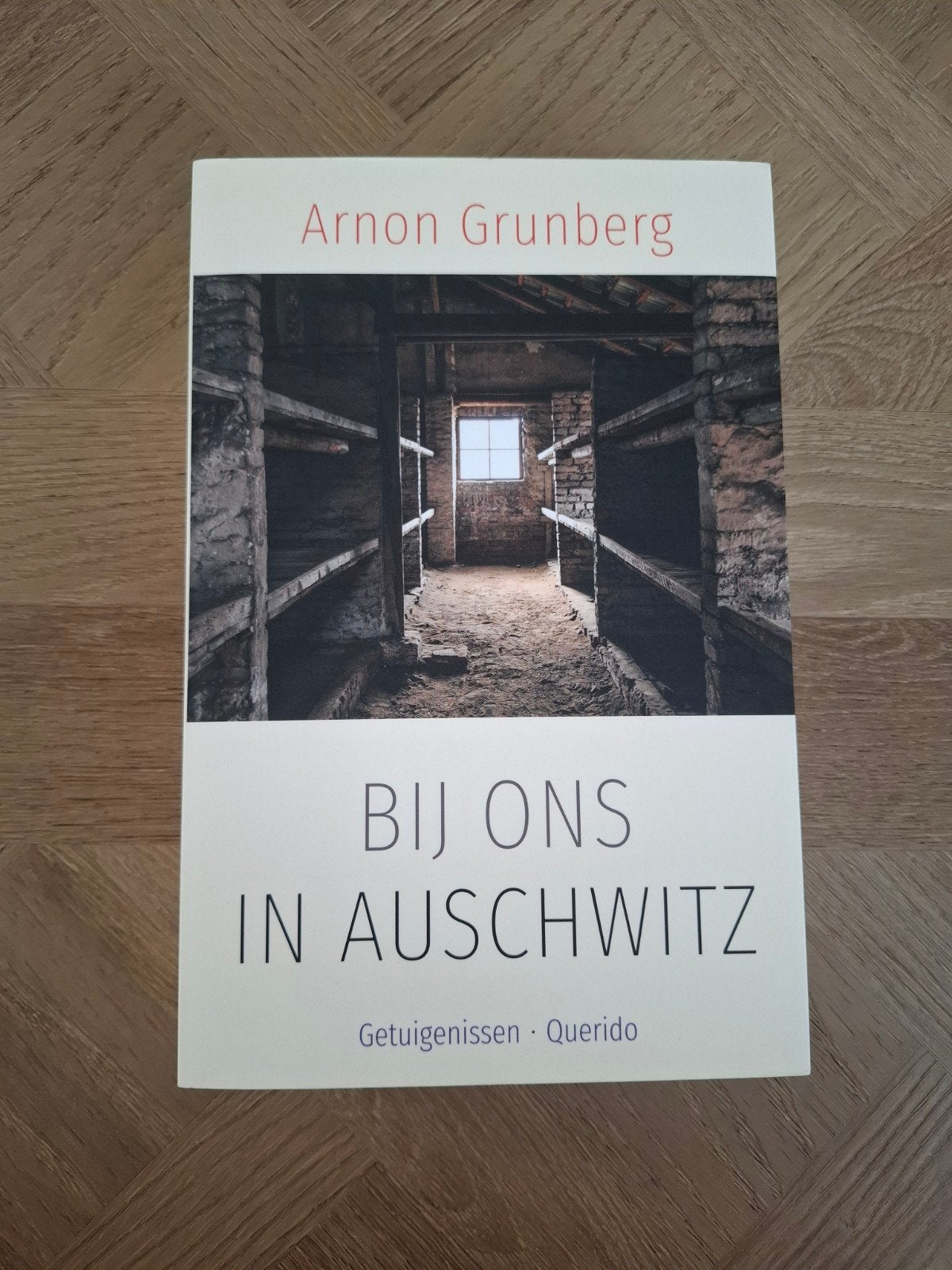 Arnon Grunberg - Bij ons in Auschwitz (Getuigenissen), Ophalen of Verzenden, 20e eeuw of later, Zo goed als nieuw, Arnon Grunberg