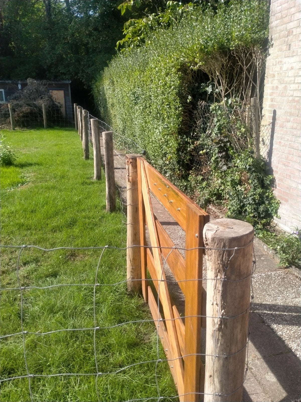 Schapengaas licht, Ophalen, Gebruikt, Hout, Gaashekwerk