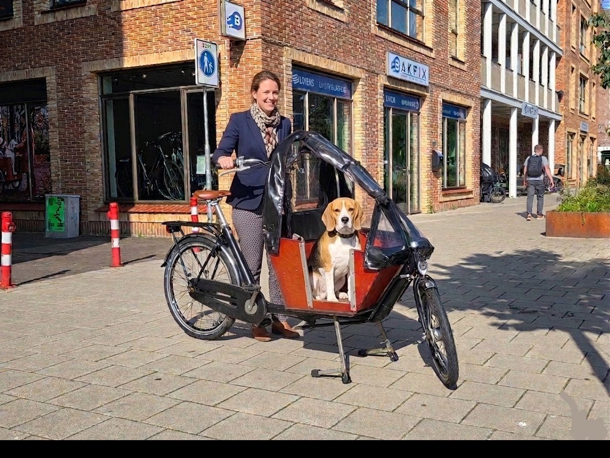 Niet-elektrische Bakfiets met Hondenluik - Ideaal voor Honde, Info@bakfiets.nl, Ophalen of Verzenden, Zo goed als nieuw, Bakfiets.nl