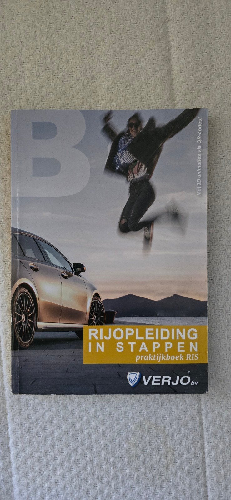 Rijopleiding in Stappen Praktijkboek RIS - Verjo, Boeken, Ophalen of Verzenden, Zo goed als nieuw, Overige niveaus, Verjo