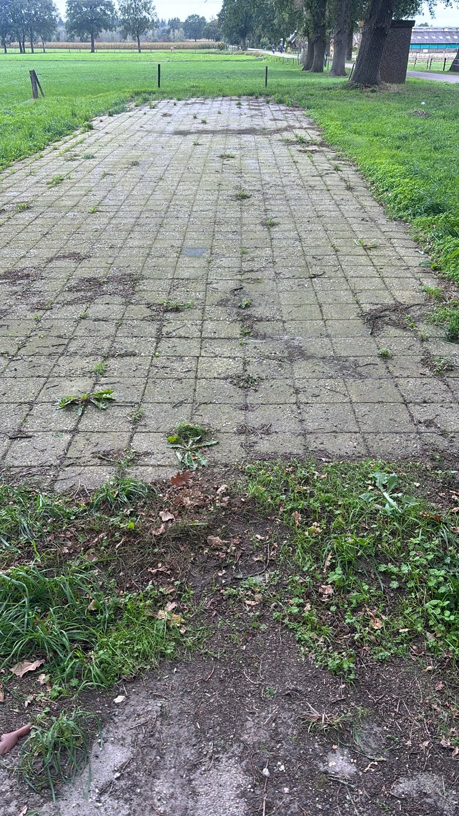 Gebruikte betontegels, Tuin en Terras, Ophalen, Gebruikt, 10 m² of meer, Beton