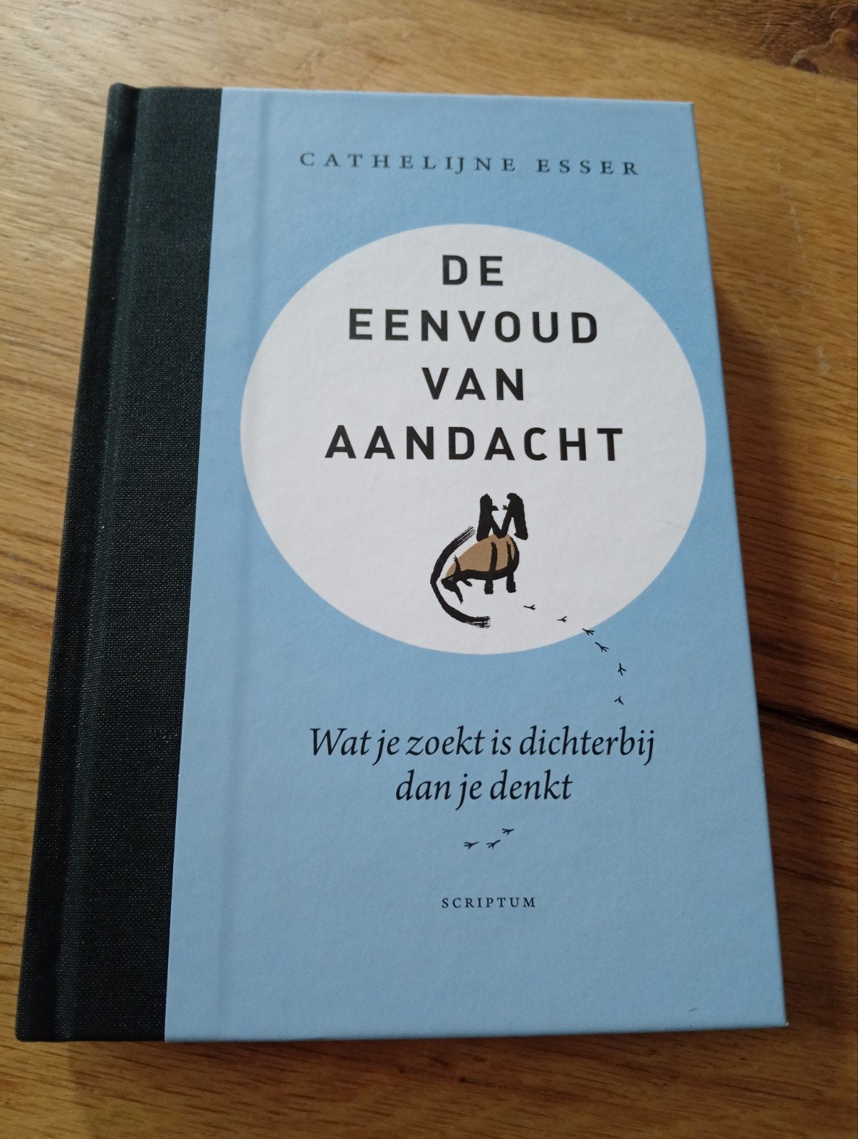 De Eenvoud van Aandacht - Cathalijne Esser, Ophalen of Verzenden, Zo goed als nieuw, Nederland, Cathalijne Esser