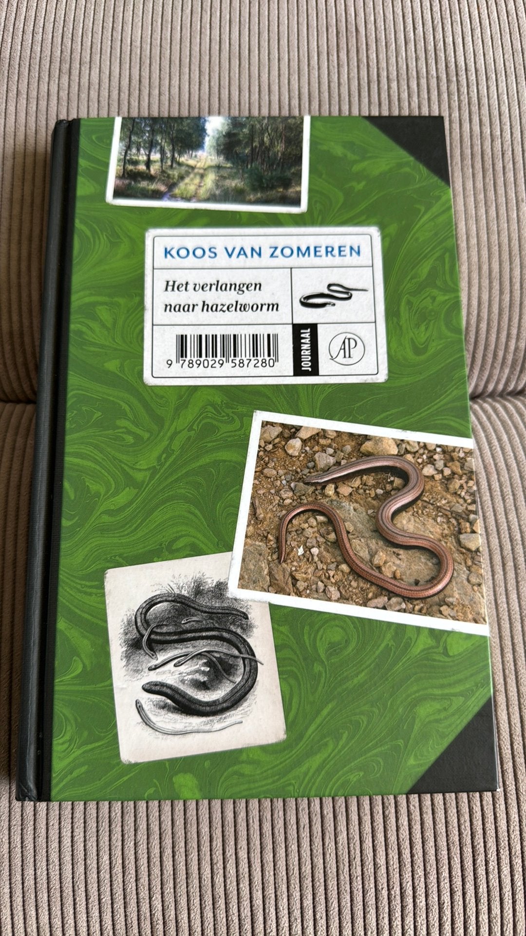 Koos van Zomeren - Het verlangen naar hazelworm, Ophalen of Verzenden, Zo goed als nieuw, Koos van Zomeren