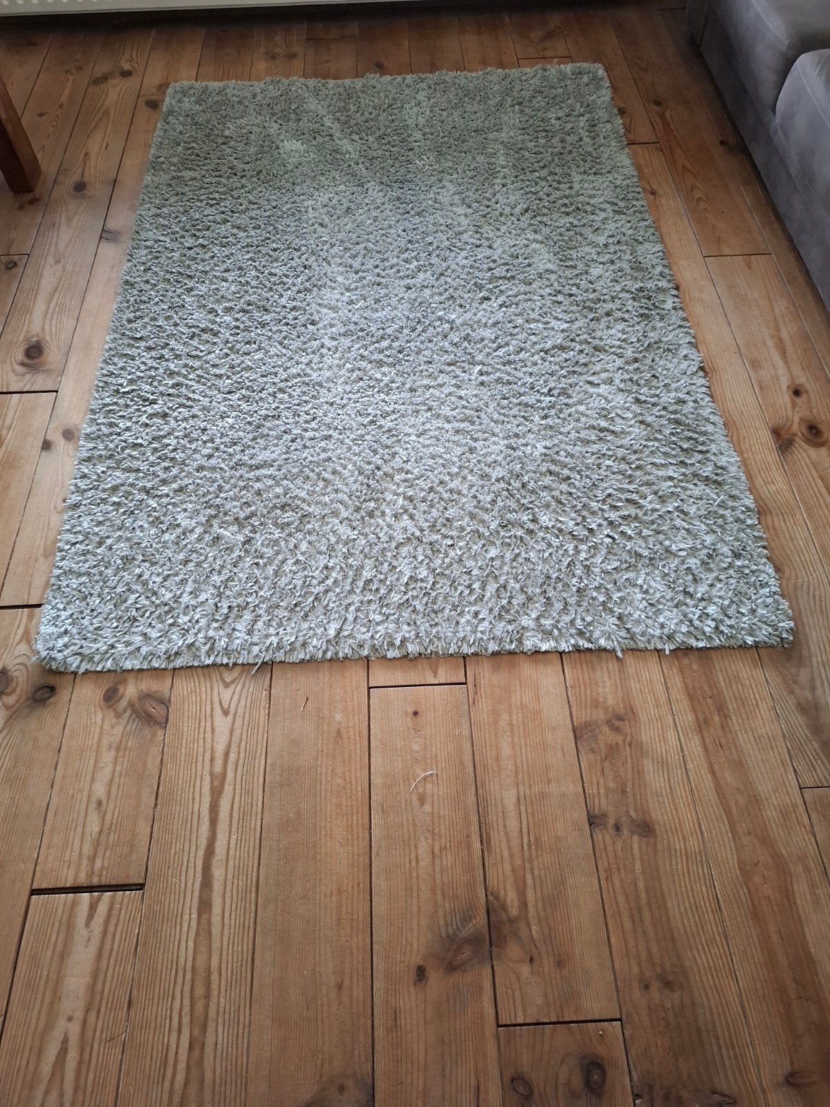 Vivace Shaggy Boston Vloerkleed - Lichtgrijs 150x220 cm, Ophalen, Gebruikt, Shaggy, Modern, 150 tot 200 cm