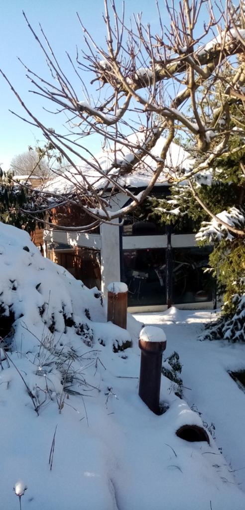 Tuinkast, Tuin en Terras, Ophalen, Gebruikt, Hout, Overige typen
