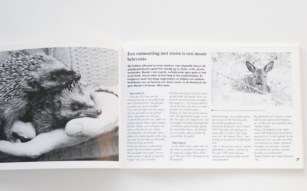 Natuurlijk Dordt - Jacques van der Neut, Boeken, Verzenden, Zo goed als nieuw