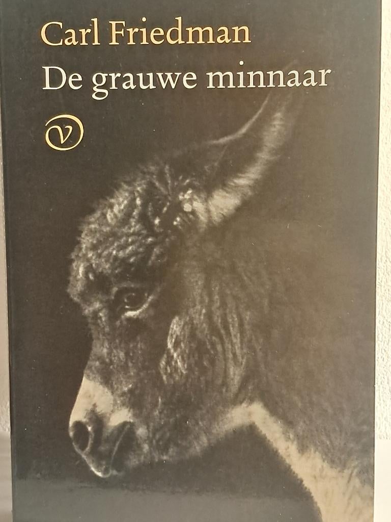 De grauwe minnaar | Carl Friedman | Roman, Gelezen, Carl Friedman, Ophalen of Verzenden, Nederland