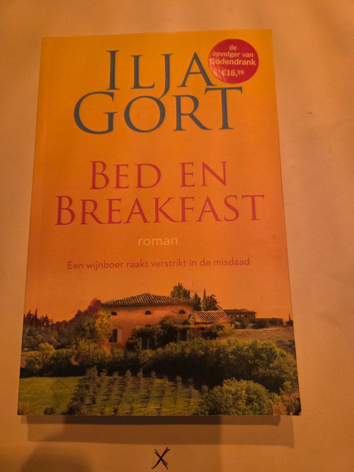 Ilja Gort - Bed en Breakfast (roman), Ophalen of Verzenden, Gelezen, Ilja Gort, Nederland