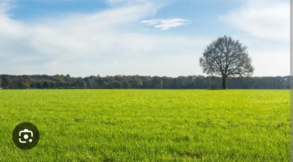 Grasland gezocht omgeving epe of oene