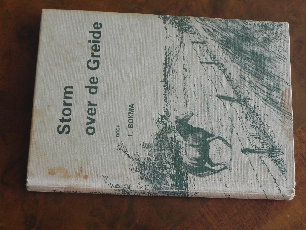 Storm      over de Greide, Ophalen of Verzenden, Gelezen, T. Bokma