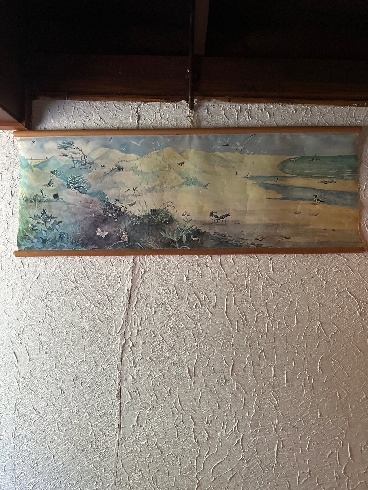 Vintage Schoolplaat Natuur en Biologie, Antiek en Kunst, Antiek | Schoolplaten, Ophalen, Natuur en Biologie