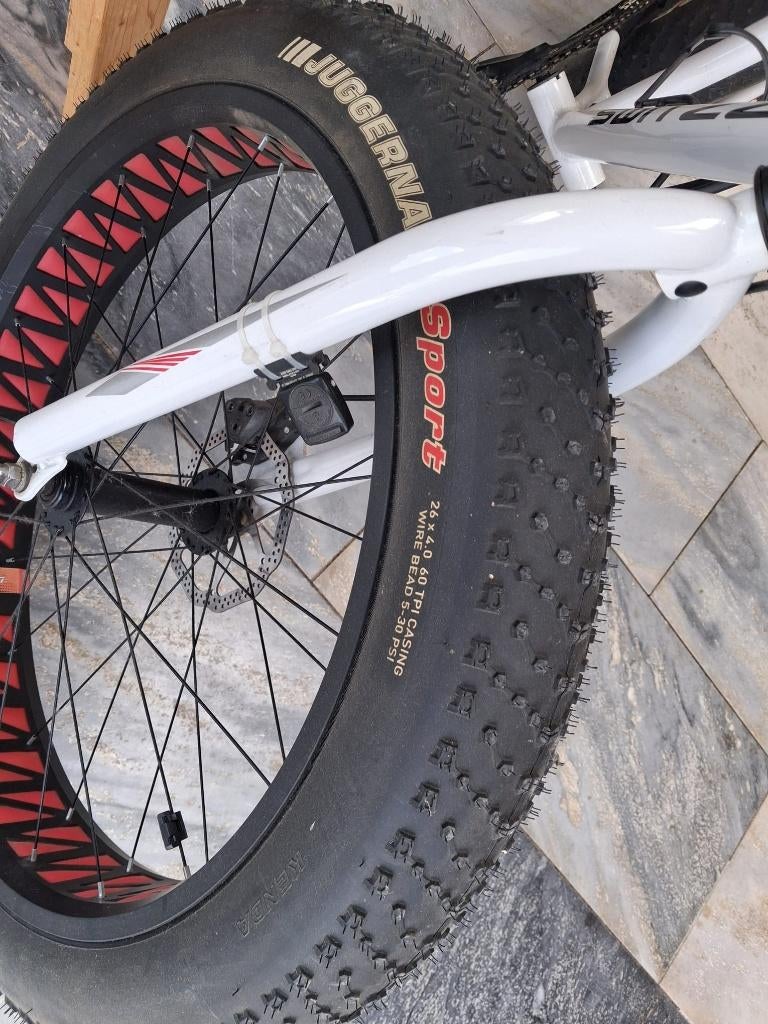 Dikke banden fietsen 2 stuks., Fietsen en Brommers, Ophalen, 24 inch of meer, Staal, SWITZZ