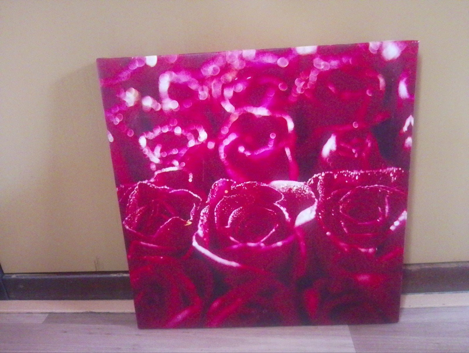 Canvas Schilderij Rode Rozen 39x39 cm, Minder dan 50 cm, Ophalen of Verzenden, Zo goed als nieuw, Schilderij