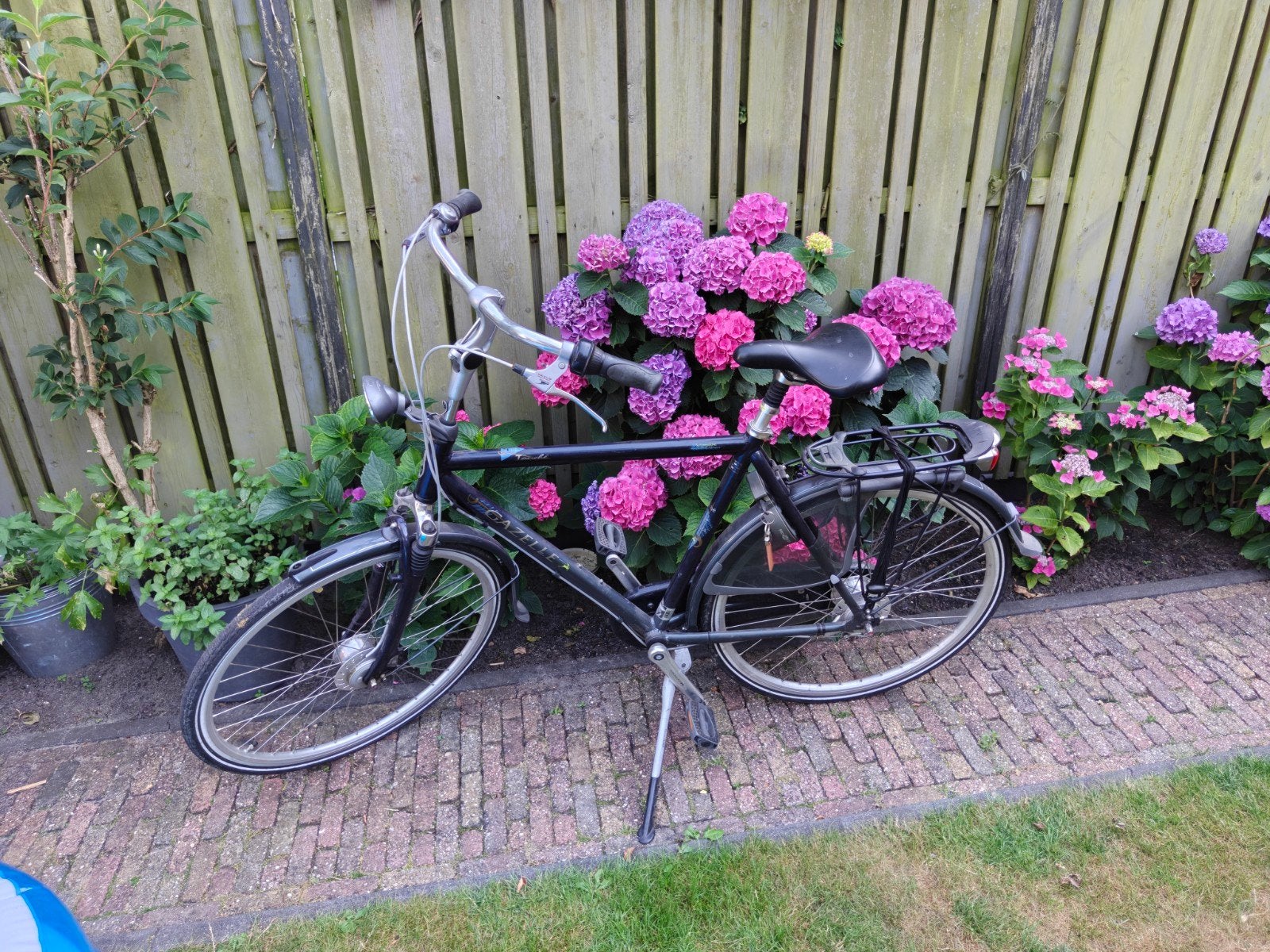Gazelle Herenfiets met 7 versnellingen, Terugtraprem, Gebruikt, Versnellingen, Ophalen of Verzenden