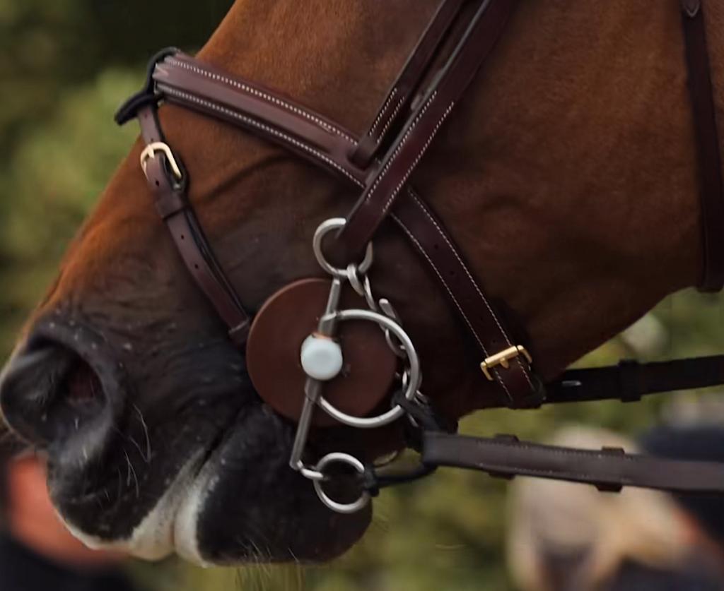 Gloed nieuw beris bit pelham, Dieren en Toebehoren, Paarden en Pony's | Hoofdstellen en Tuigage, Ophalen of Verzenden, Nieuw, Dressuur