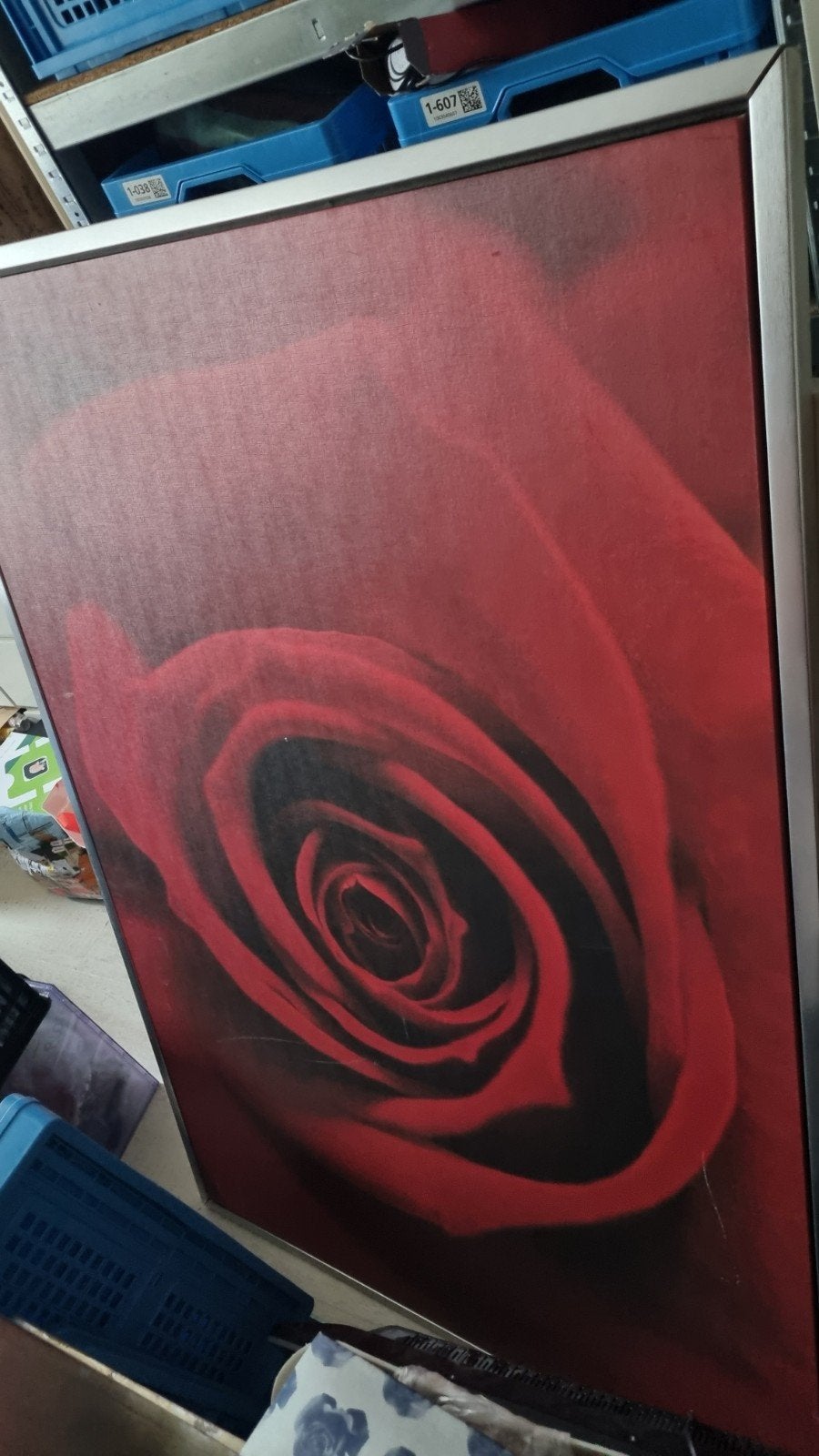 IKEA Schilderij Rode Roos met Metalen Frame, Huis en Inrichting, Ophalen, Gebruikt, Schilderij, 75 – 100