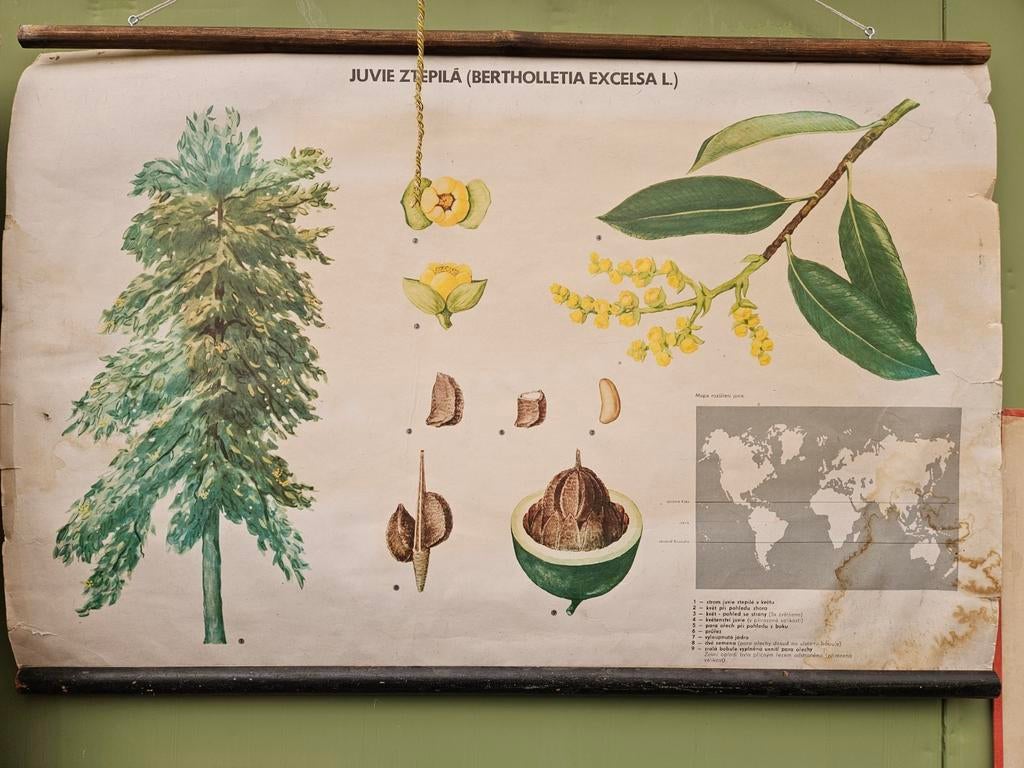 Oude Schoolkaart 95x65 cm, Ophalen of Verzenden, Aardrijkskunde