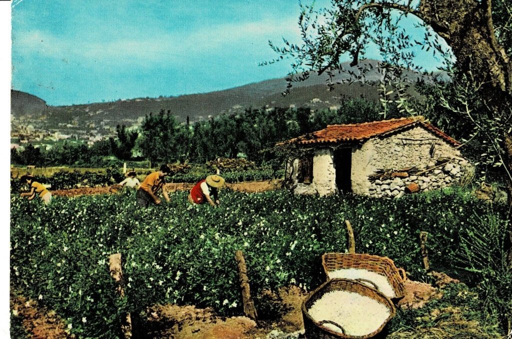 Cote d' Azur, Ophalen of Verzenden, Gelopen, Frankrijk