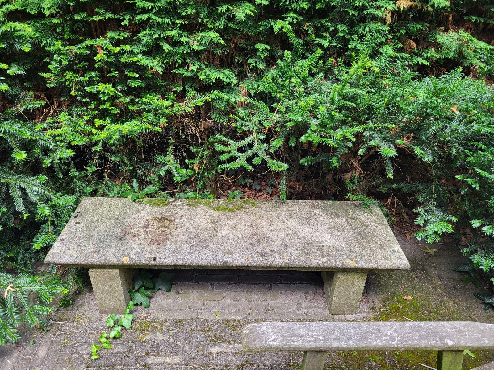 Betonnen bankje voor landelijke tuin - 135x41x33 cm, Ophalen, Gebruikt, Overige materialen