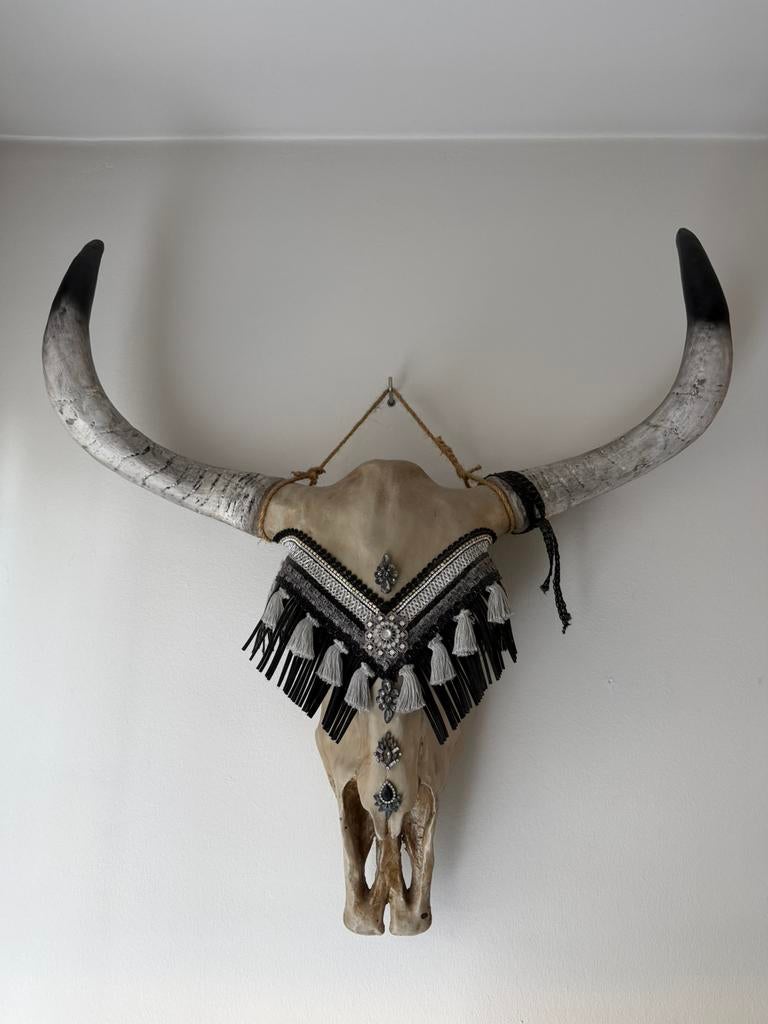 Schedel wanddecoratie, Huis en Inrichting, Ophalen of Verzenden, Zo goed als nieuw