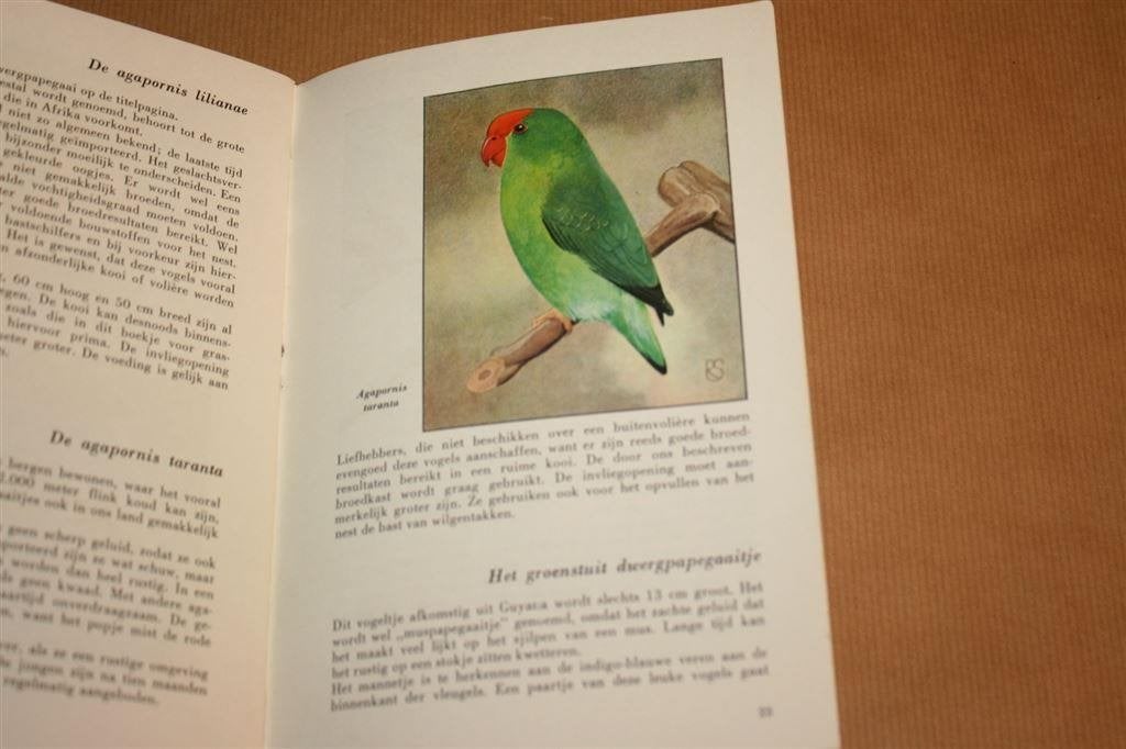 Parkieten: huisvesting voeding verzorging kweken. ca 1960, Ophalen of Verzenden, Gelezen