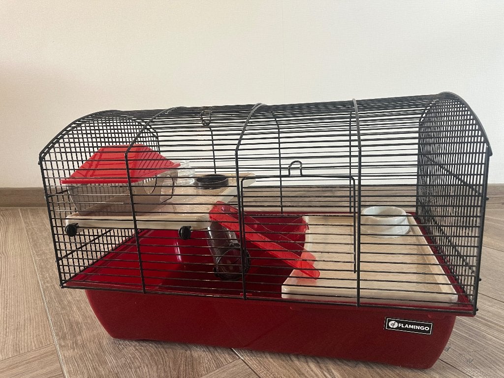 Hamster hok / hamster kooi, Gebruikt, Minder dan 75 cm, Ophalen, Minder dan 60 cm