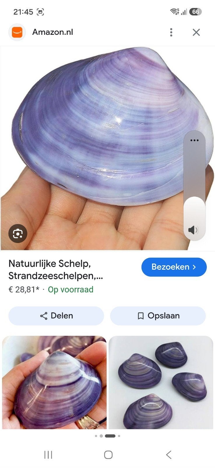 Natuurlijke Schelpen - Decoratie en Knutselen, Verzamelen, Ophalen of Verzenden, Gebruikt