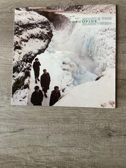 LP Echo And The Bunnymen - Porcupine - 1983, Cd's en Dvd's, Vinyl | Rock, Ophalen of Verzenden, Gebruikt, 12 inch, Poprock