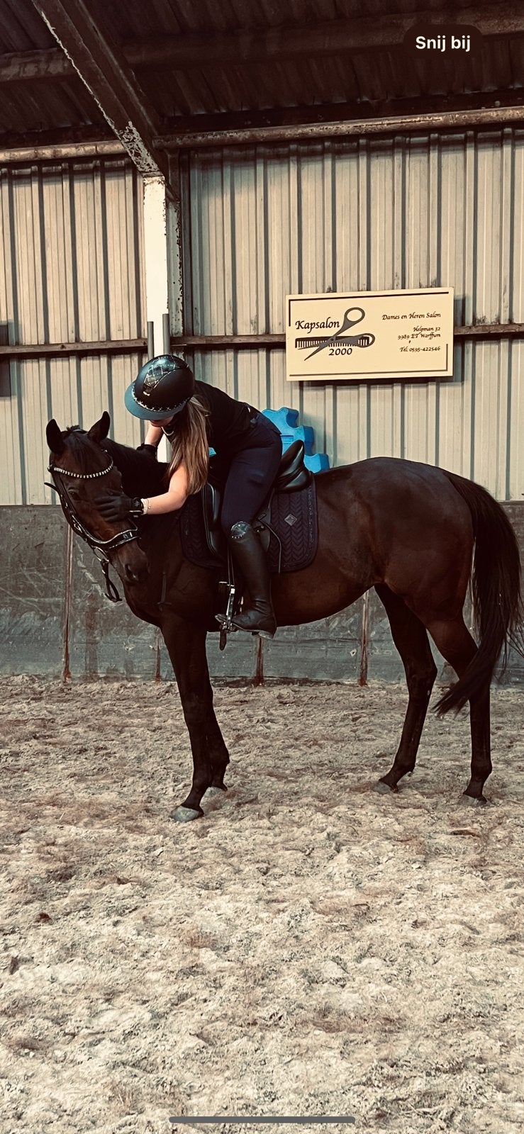 Lieve 11 jarige Ierse sport/recreatie merrie, Merrie, Recreatiepaard