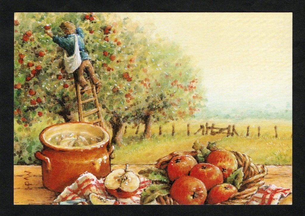 Boomgaard Appels Oogsten Fruit., Ophalen of Verzenden, 1980 tot heden, Ongelopen, Natuur