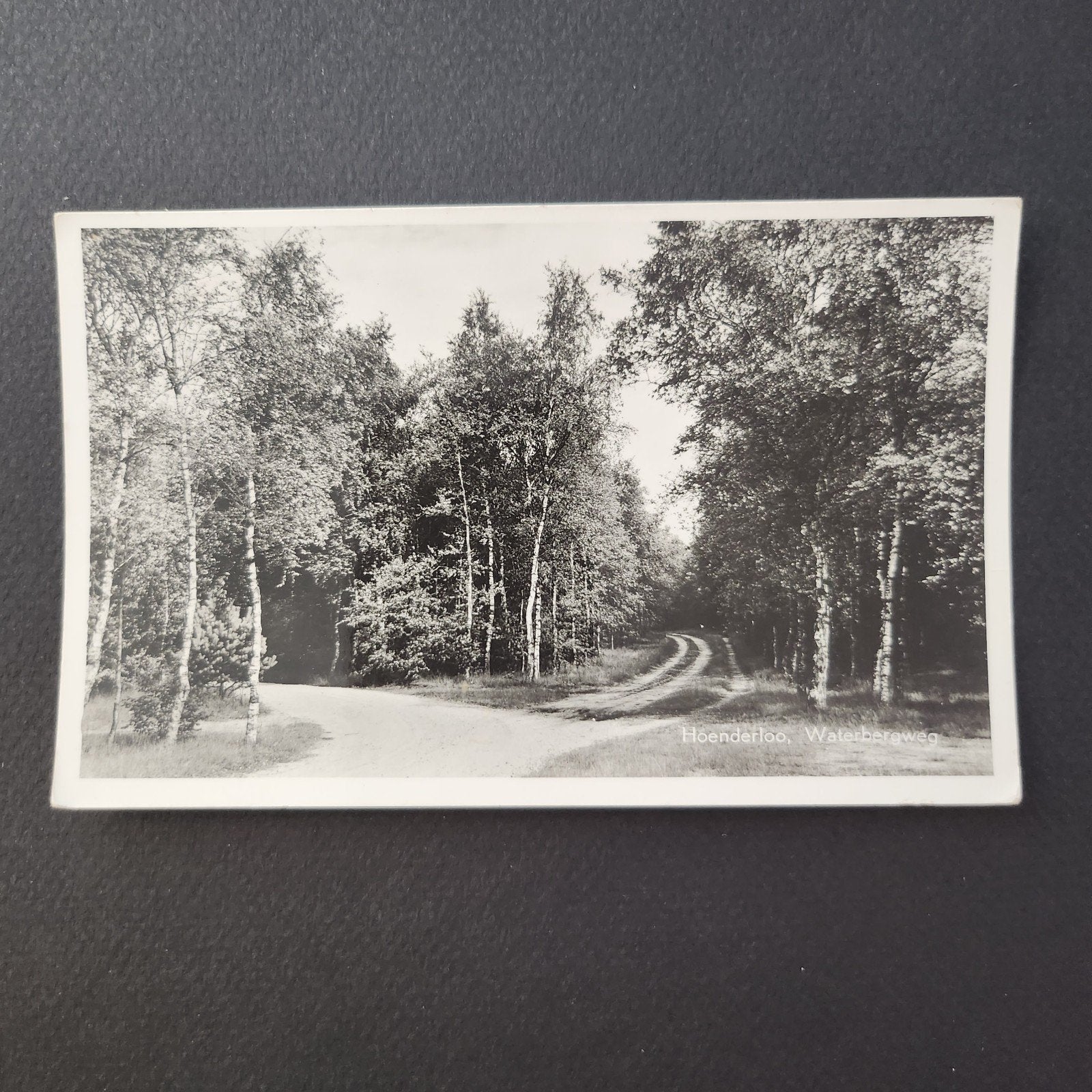 Echte foto/ ansichtkaart Hoenderloo, Waterbergweg, Ophalen of Verzenden, Gelopen, Zuid-Holland