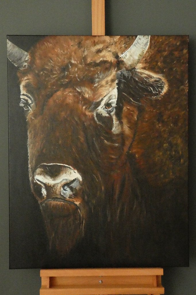 Amerikaanse bizon, Ophalen, Nieuw, Schilderij, 75 – 100