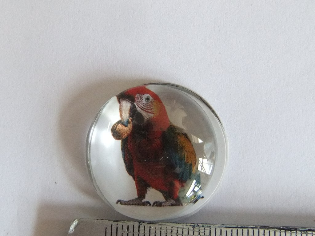 Mooie Pin/Speldje met Papegaai, Verzenden, Nieuw, Dier of Natuur, Speldje of Pin