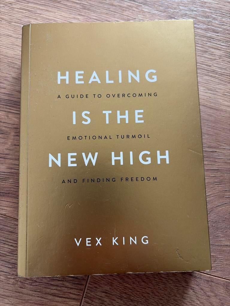 Healing Is The New High - Vex King (Engelstalig), Ophalen of Verzenden, Gelezen