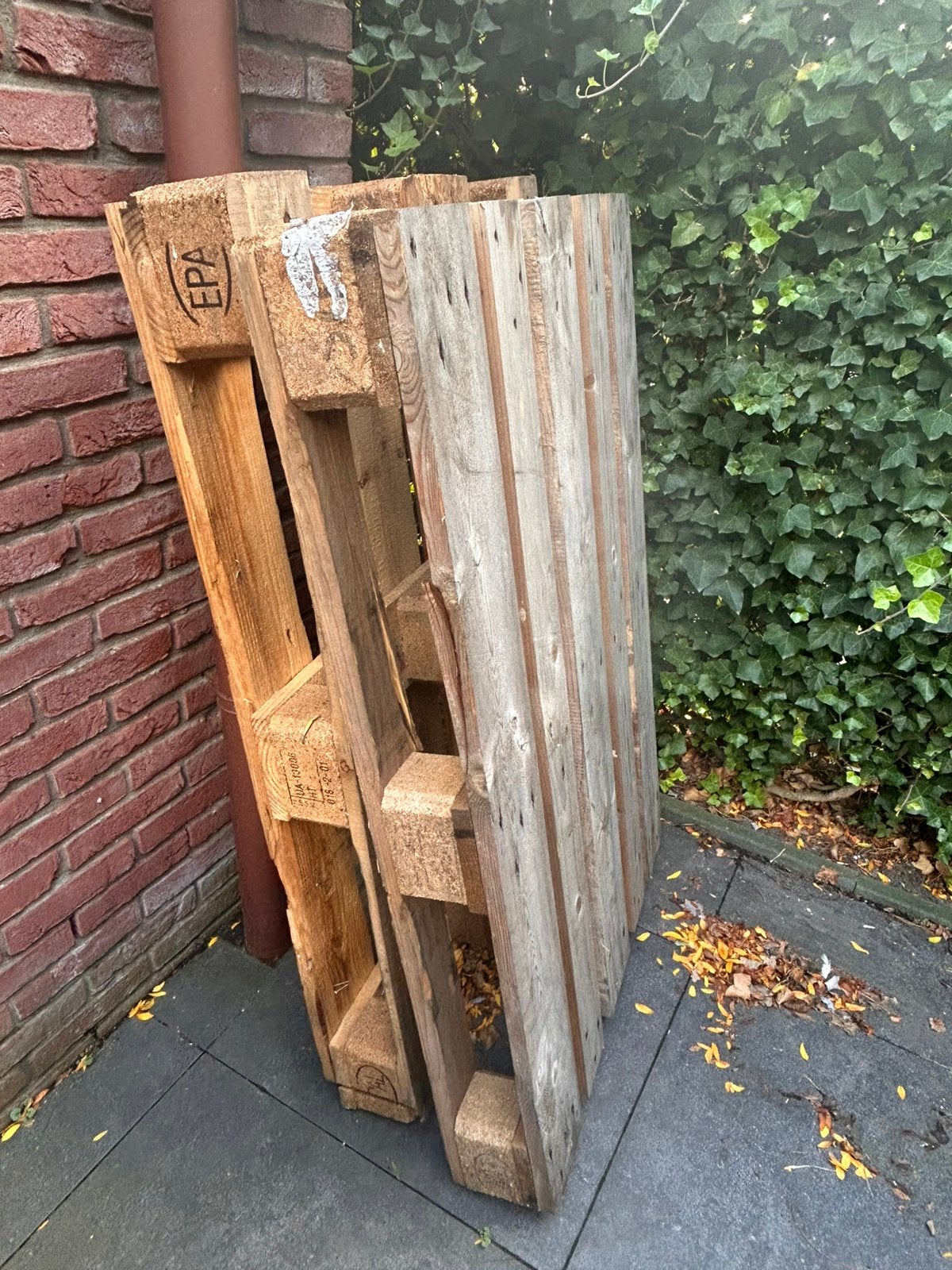 2 gratis europallets, Ophalen, Gebruikt, Pallet, Minder dan 200 cm
