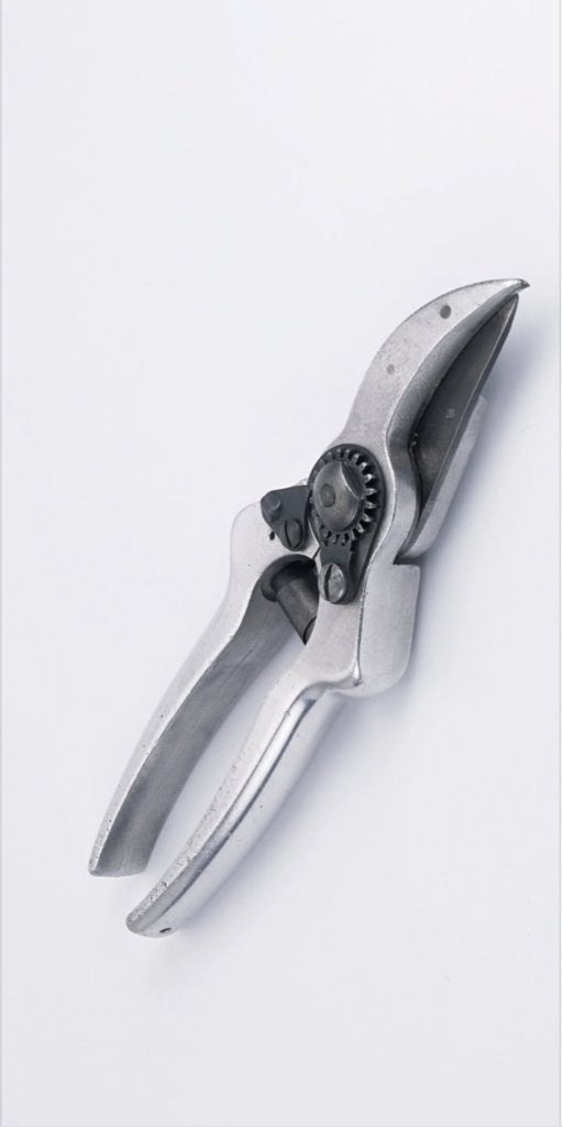 Felco 1, Tuin en Terras, Snoeischaren, Ophalen, Gebruikt, 20 t/m 29 mm, Felco