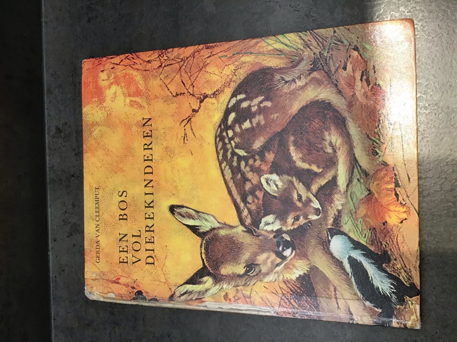Een bos vol dierenkinderen, gerda v cleemput, Boeken, Ophalen of Verzenden, Zo goed als nieuw, Fictie algemeen