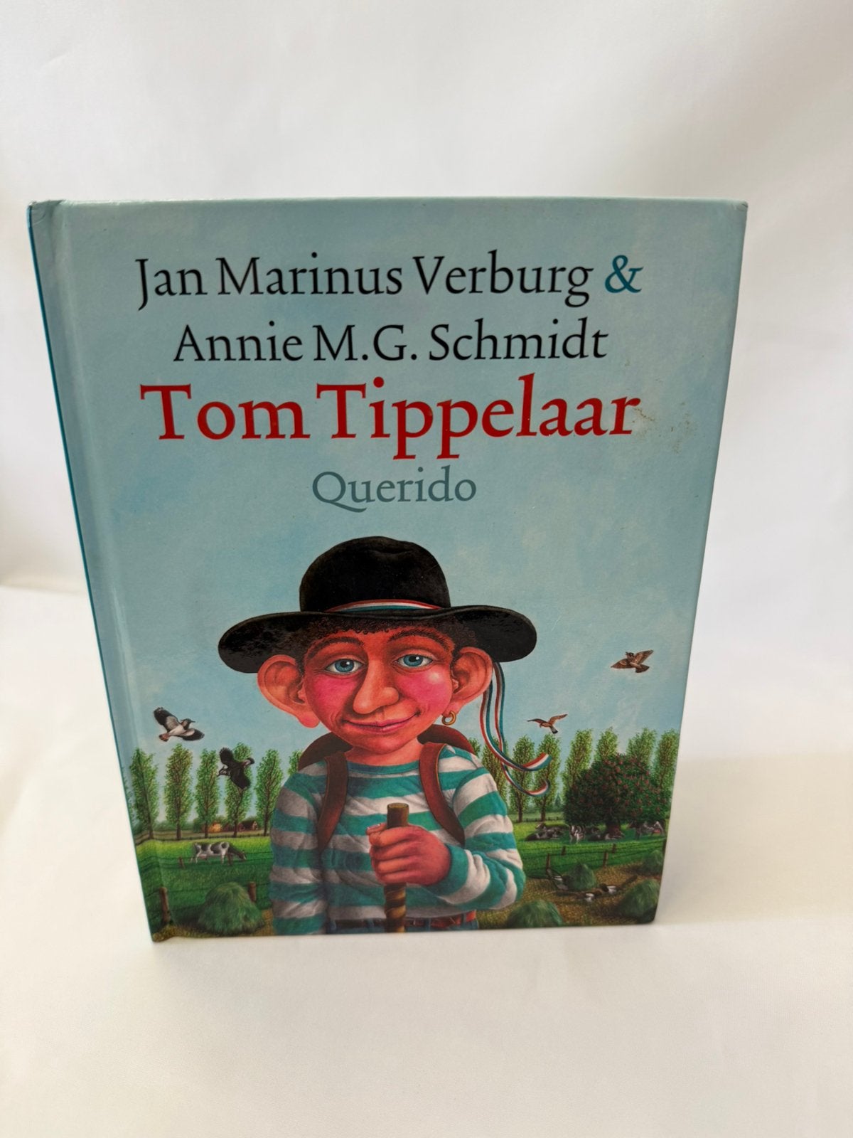 Annie MG Schmidt Tom Tippelaar kinderboek, Boeken, Ophalen of Verzenden, Gelezen, Fictie algemeen