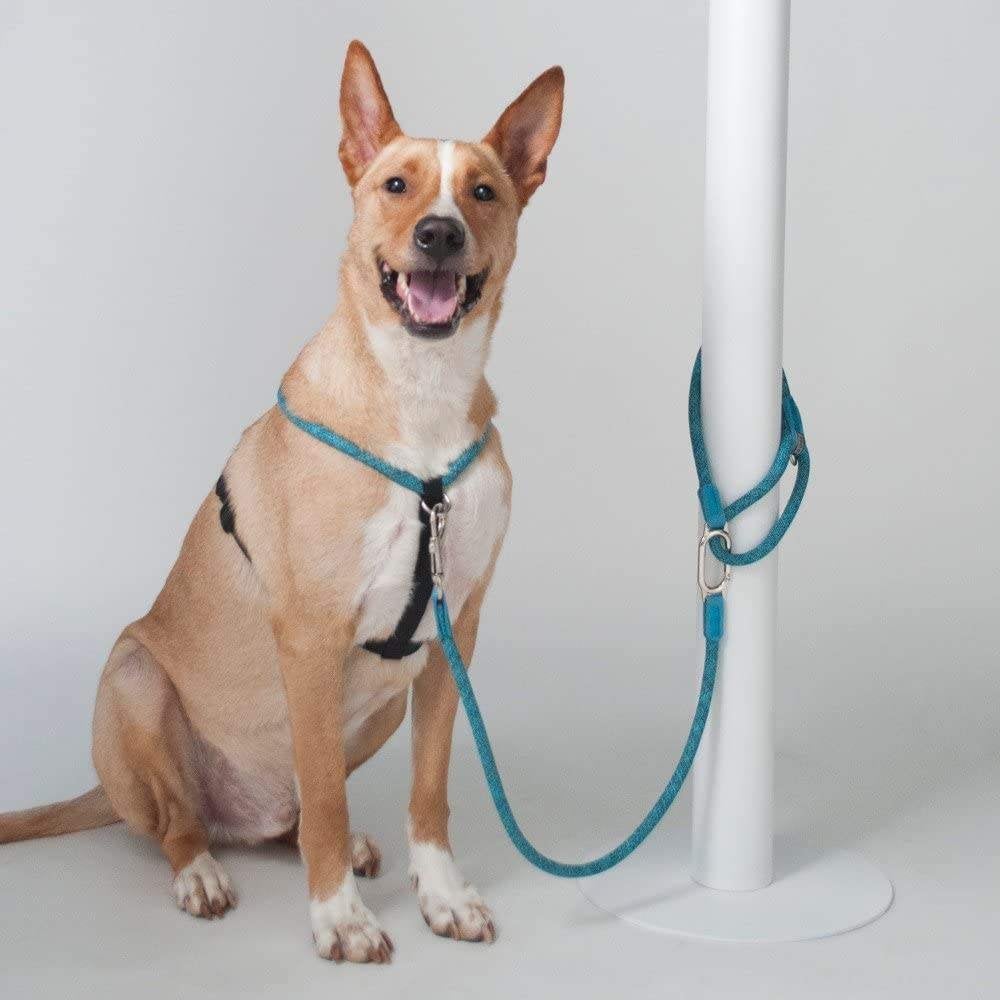 H5D Hondenriem / Hondenlijn tot 7 kg. Blauw 140 cm KOOPJE!!!, Ophalen of Verzenden, Nieuw, Hondenriem