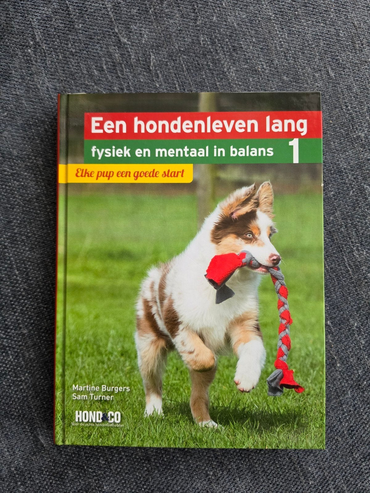 Hondenleven Lang: Elke pup een goede start - Deel 1, Ophalen of Verzenden, Zo goed als nieuw, Honden, Martine Burgers, Sam Turner